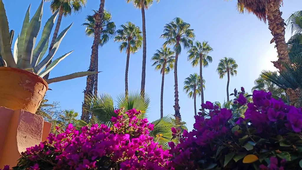 Marrakech et les couleurs naturelles
