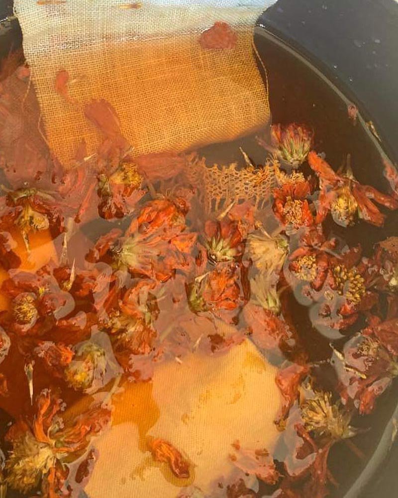 nuancier Alizarine teinture naturelle végétale (10)