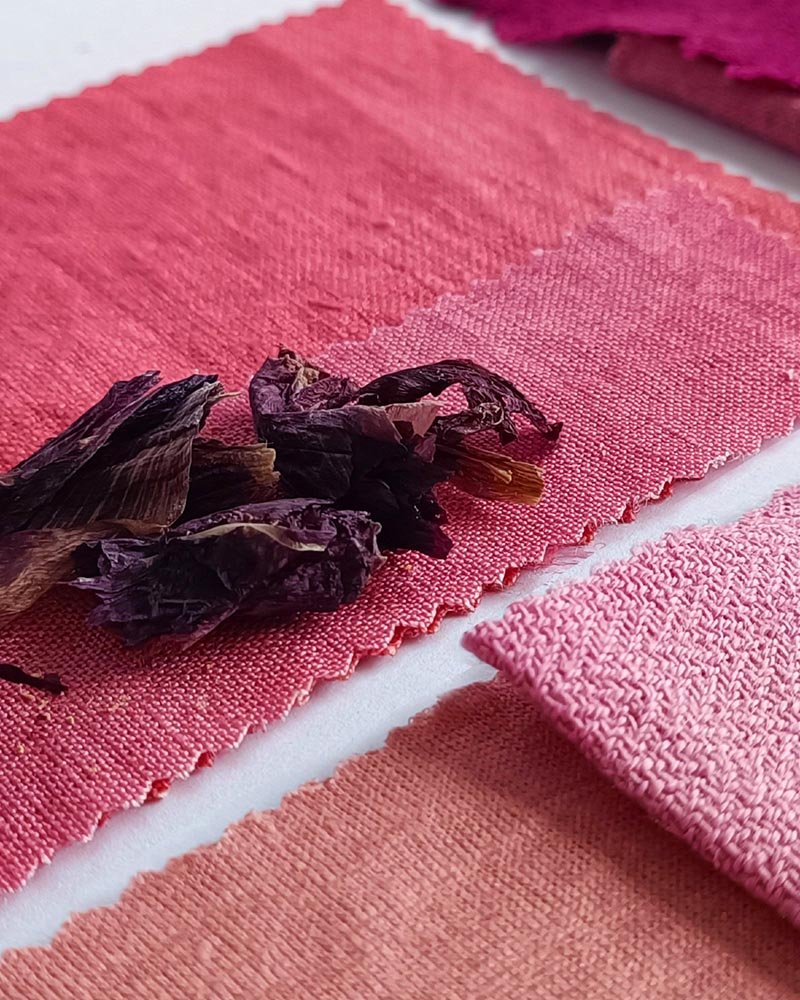 nuancier Alizarine teinture naturelle végétale (14)