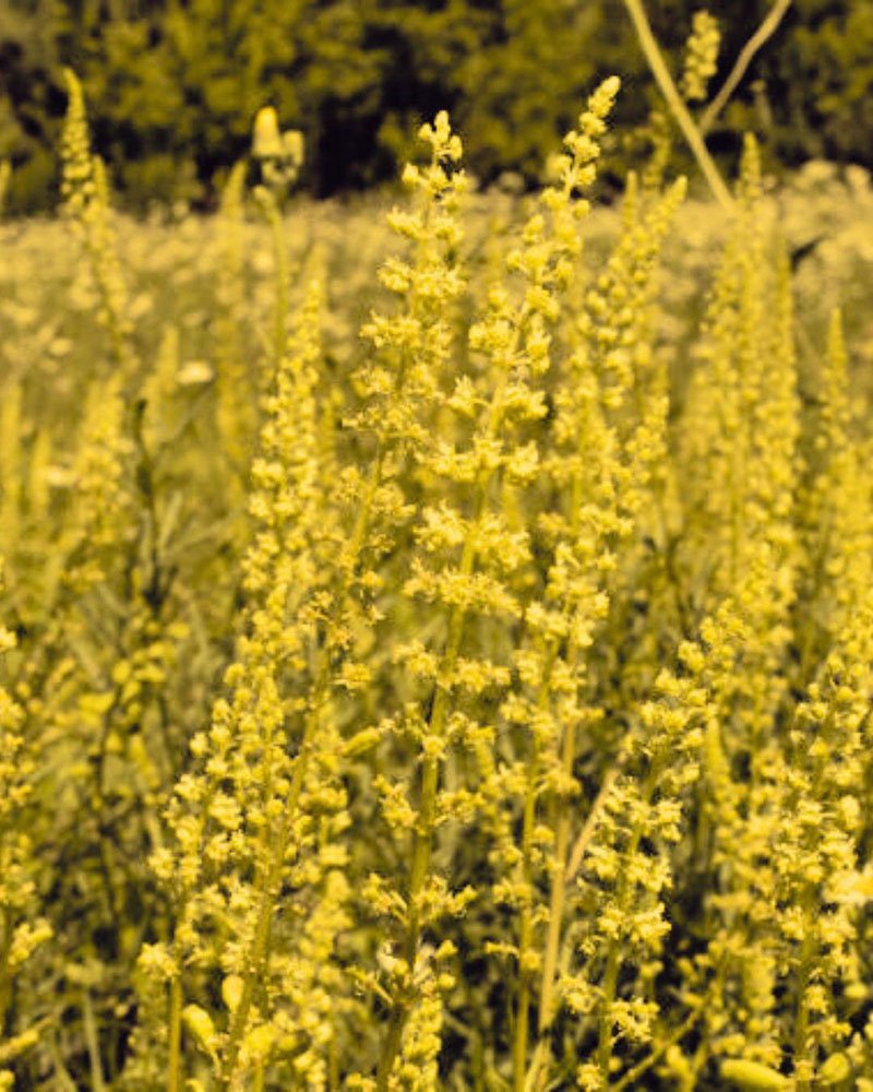 Design sans titre - 3