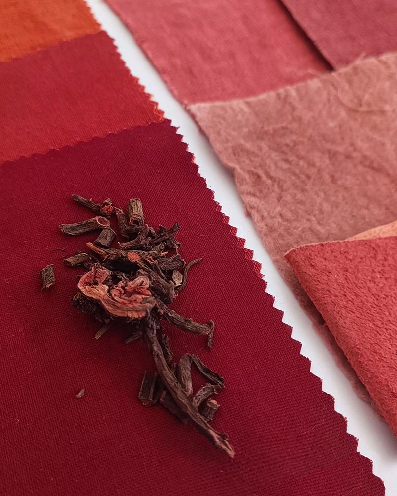 nuancier Alizarine teinture naturelle végétale (21)