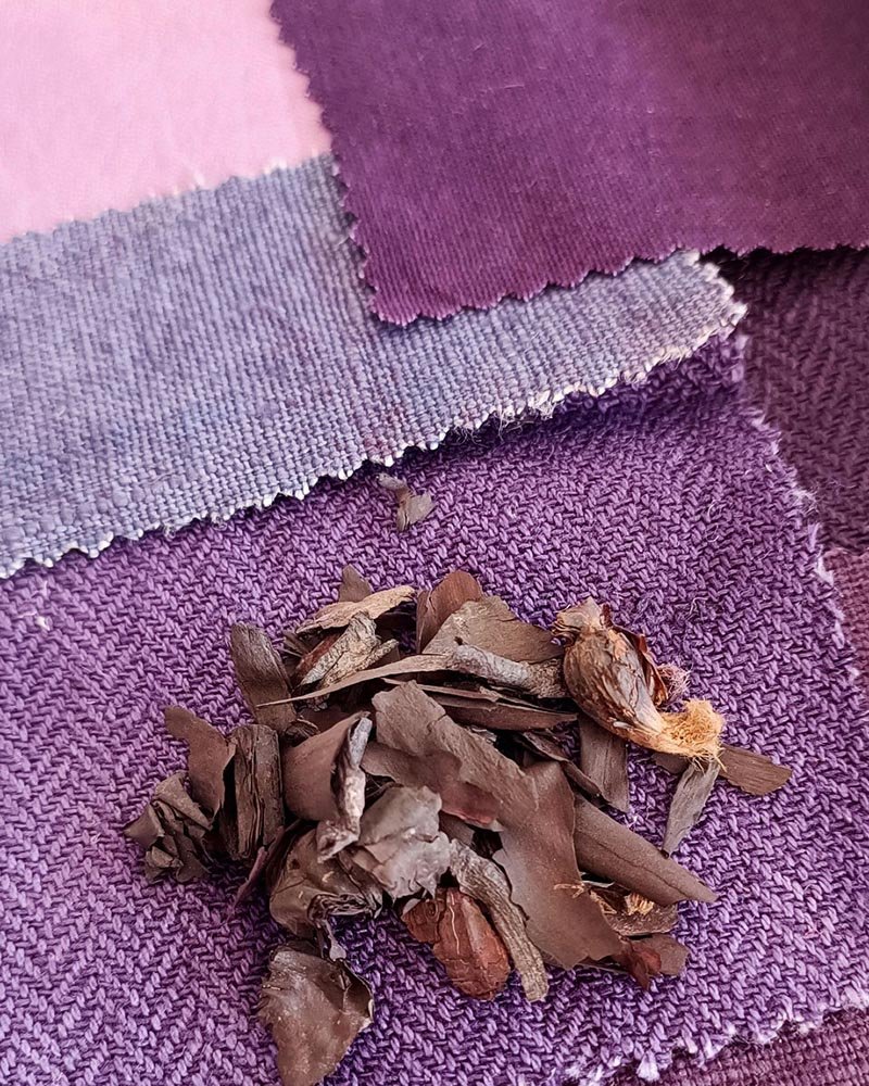 nuancier Alizarine teinture naturelle végétale (23)