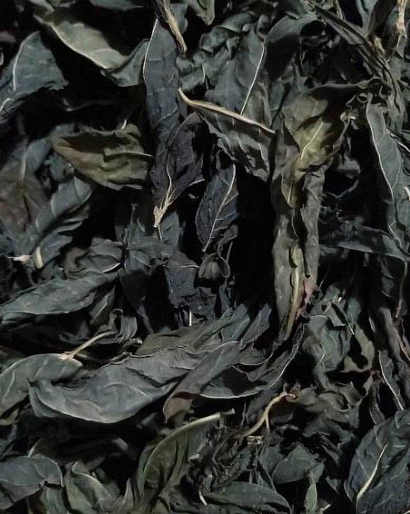 nuancier Alizarine teinture naturelle végétale (25)