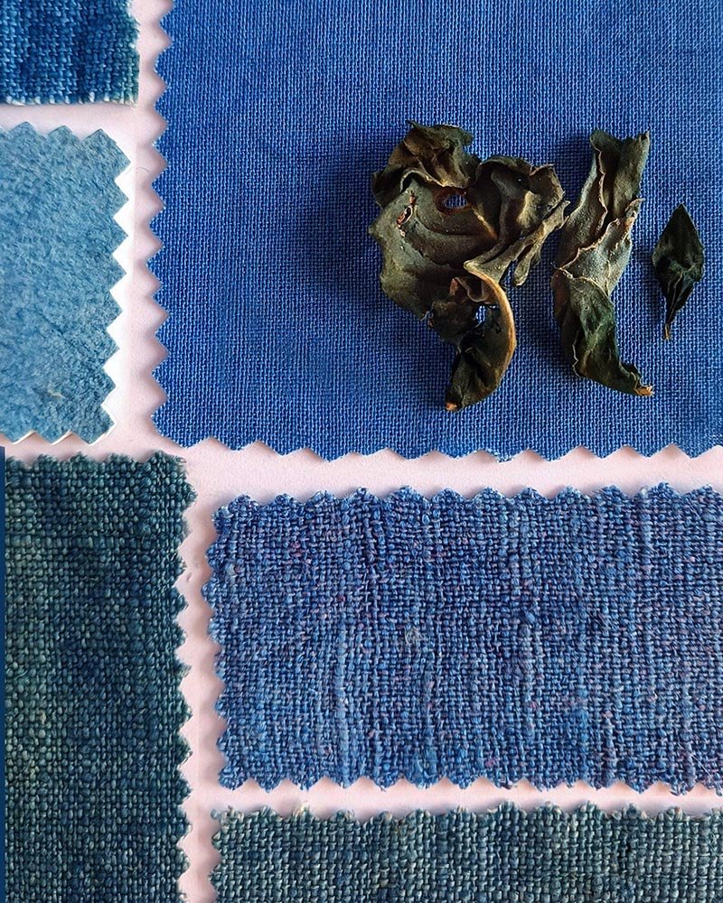 nuancier Alizarine teinture naturelle végétale (27)