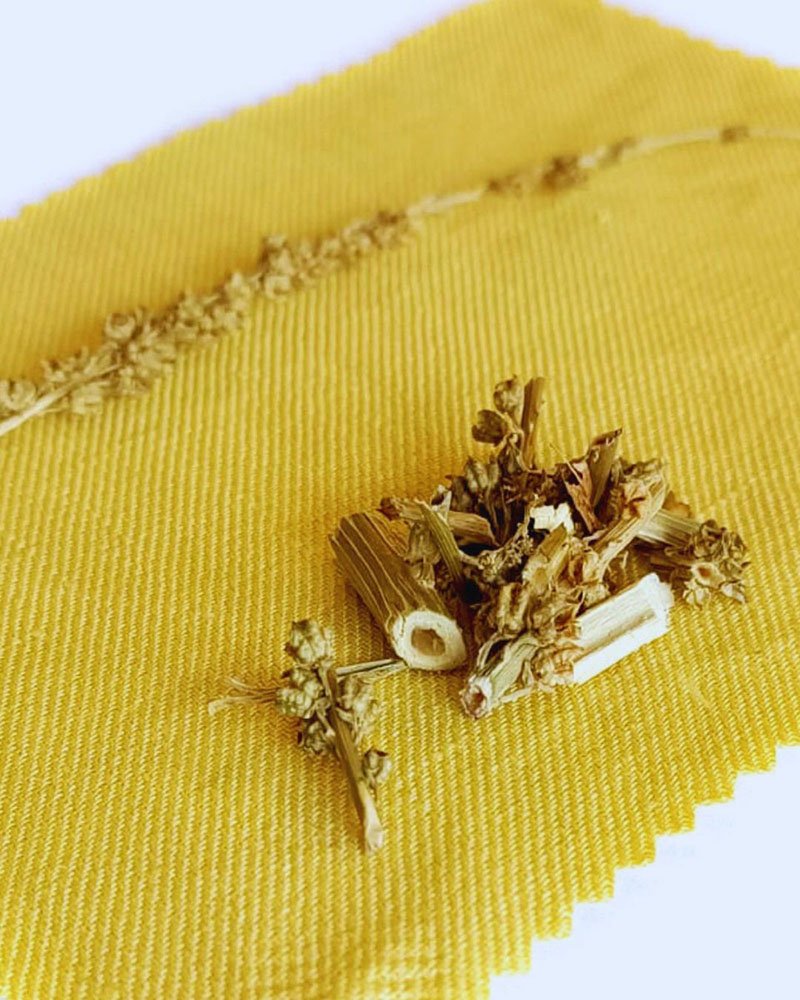 nuancier Alizarine teinture naturelle végétale (4)