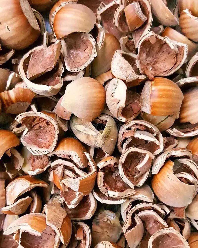 nuancier Alizarine teinture naturelle végétale (40)