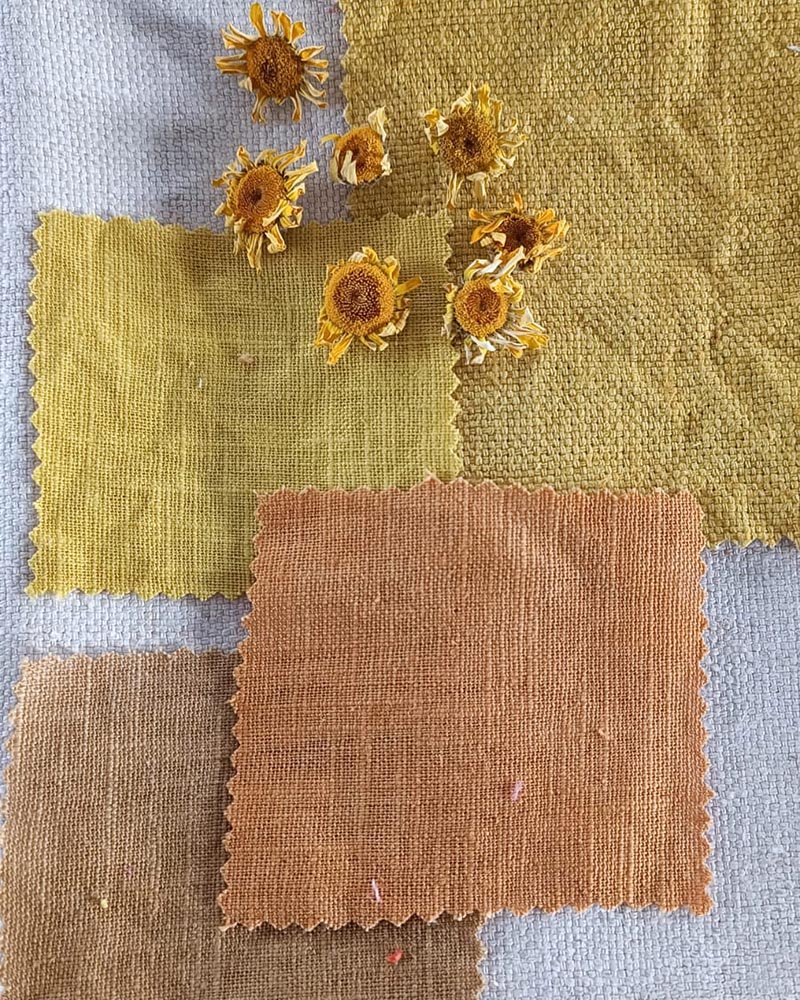 nuancier Alizarine teinture naturelle végétale (41)