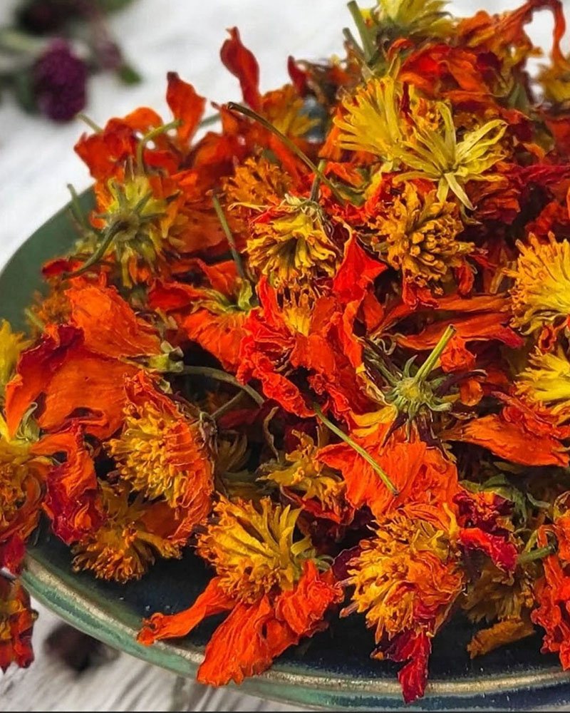 Copie de Sans titre - 4