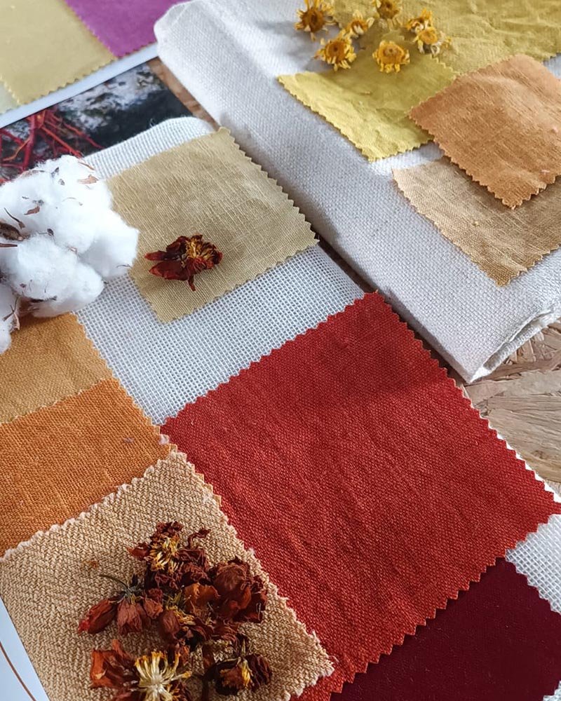 nuancier Alizarine teinture naturelle végétale (7)