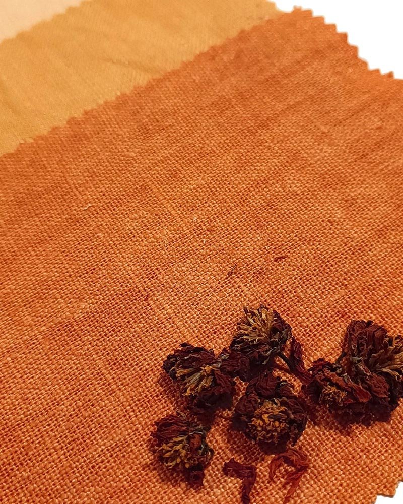 nuancier Alizarine teinture naturelle végétale (8)